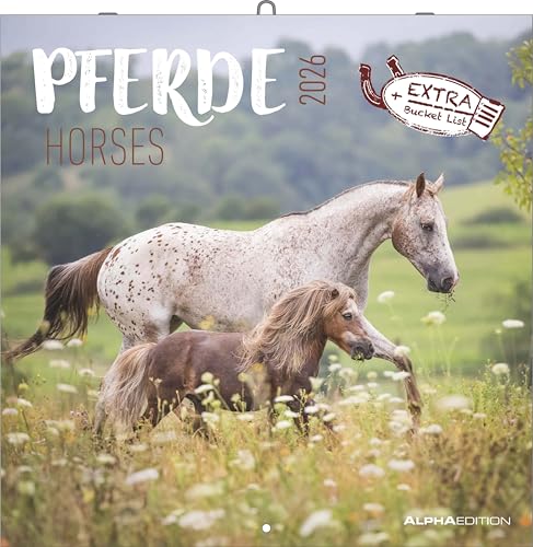 Pferde 2026 - Broschürenkalender 30x30 cm (30x60 geöffnet) - Kalender mit Platz für Notizen - Horses - Bildkalender - Wandplaner - Pferdekalender: Horses