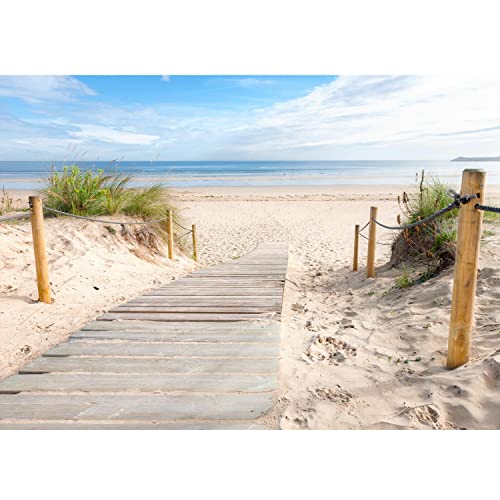 Runa Art Fototapete Strand und Meer Modern Vlies Wohnzimmer Schlafzimmer - Made in Germany - 308 x 220 cm Beige Blau 9007010b