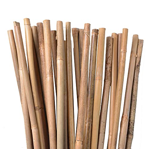 UNUS Bambusstäbe, Pflanzenstäbe zur Stabilisierung von Pflanzen im Garten, Rankstäbe Bambus 120 cm naturfarbend, 50 Stück