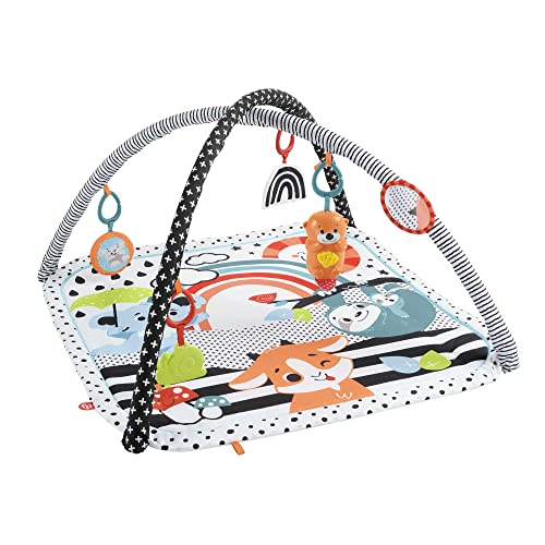 Fisher-Price Tierfreunde Kontrast-Spieldecke, Spielbogen, mit Musik und Licht, Krabbeldecke für Baby, zum Spielen im Bauchlage, Baby Ausstattung, ab Geburt, HPF39