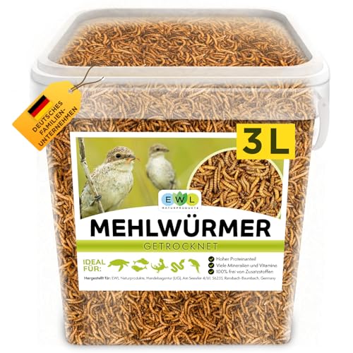 Mehlwürmer getrocknet 3 ltr. Premium Insektensnack Vögel, Fische, Schildkröten, Nager, Igel, Reptilien, Vogelfutter Wildvögel Ganzjährig Eichhörnchen Futter Hamsterfutter Igelfutter