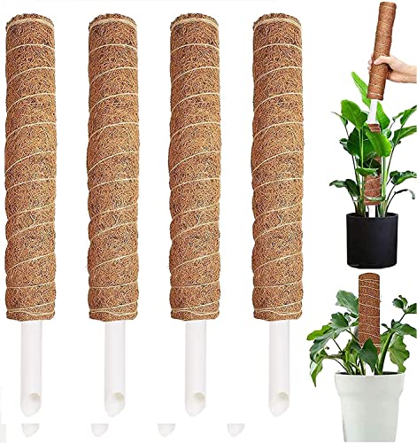 4 Stück Moosstab, 30cm Pflanzstab Kokos Moosstab, Monstera Rankhilfe, für Pflanzenklettern, Hausgarten
