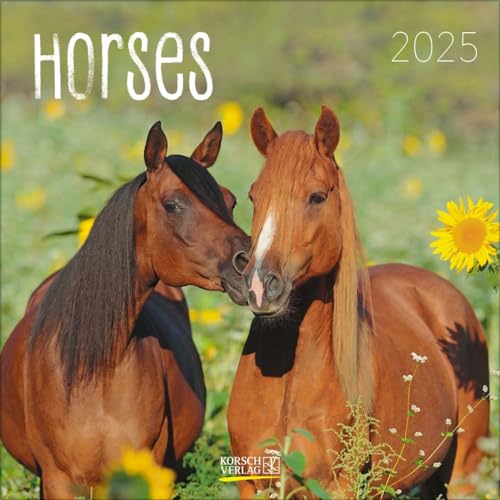 Horses 2025: Broschürenkalender mit Ferienterminen. Pferde und Ponys. 30 x 30 cm