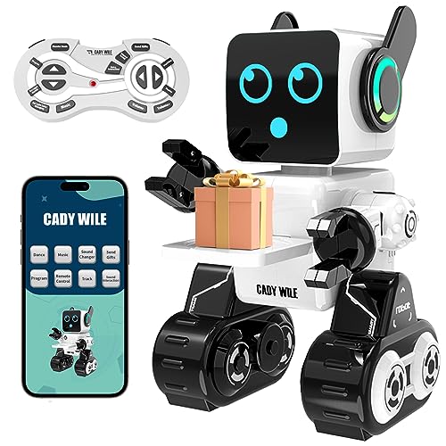Anysun Roboter Spielzeug für Kinder, Intelligente RC-Roboter mit Berührung, APP und Fernsteuerung, Programmierbares Roboter Spielzeug, Laufen, Tanzen, Singen, Sprechen, Geschenk für Jungen und Mädchen