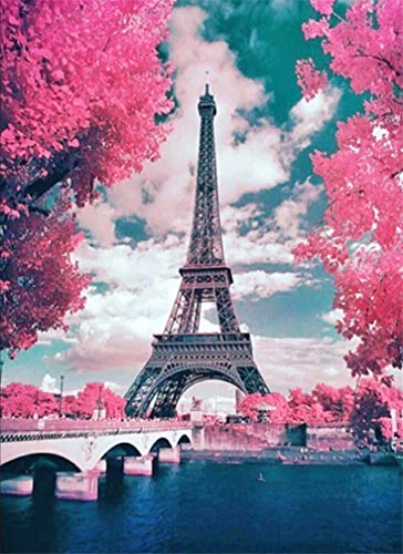 Abillyn Stickerei-Set, Kreuzstich, Paris, Stadt, Landschaft, Eiffelturm, geprägt mit gedrucktem Muster, Starter-Set (Eiffelturm)