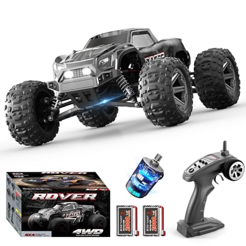 dexinco 1:14 Ferngesteuertes Auto, 55 km/h Hochgeschwindigkeits RC Auto, Wasserdichter 4x4 Hobby RC Monster Truck, 2000 mAh Akku, Konkurrenzfähig mit Bürstenlosen Ferngesteuerte Fahrzeug