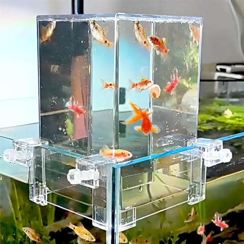 Cachpib Fischsäule Acryl Unterdruck Fischturm Luftverlängerungs Aquarium Vakuum-aufgehängtes Aquarium für die ökologische Landschaftsgestaltung, Bequeme Beobachtung