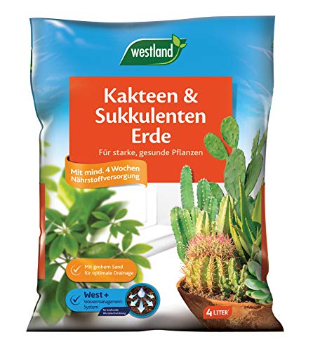 Westland Kakteen & Sukkulenten Erde, 4 l – Kakteenerde für gesunde Pflanzen, Erde mit Tongranulat zur optimalen Wasser- und Nährstoffverteilung