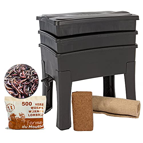 WormBox I Worm Café, Wurmkomposter 2 Tabletts I Komplett-Set I Große Kapazität 64 Liter (250g Kompostwürmer / 500 STK.)