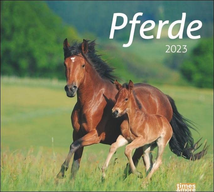 Pferde Bildkalender 2023 - times&more Tier-Kalender - Wandkalender mit Monatskalendarium - 30 x 27 cm