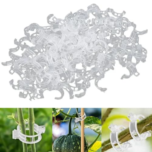 100 Stück Pflanzenclips Tomatenhaken, Pflanzenklammern Kletterhilfe Pflanzen, Tomatenklammern für Kletterpflanzen, Blumen klammern für Gemüse Tomate Pflanzen Befestigun (100, Transpare)
