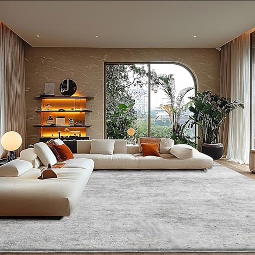 Tinyboy-hbq Teppich Wohnzimmer Kurzflor,Passend für Outdoor,Schlafzimmer und Balkon,Waschbarer Wetterfest Antirutsch,Abstrakt Hellbraun/Multi,250x300cm