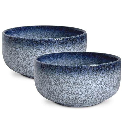 2 Stück Müslischalen Groß aus Porzellan, 950ml Keramik Ramen Schüssel Set für Küche, Servierschüsseln Müslischüsseln Suppenschalen Salatschale Pastaschüssel Schalen Bowl Set (Blue)