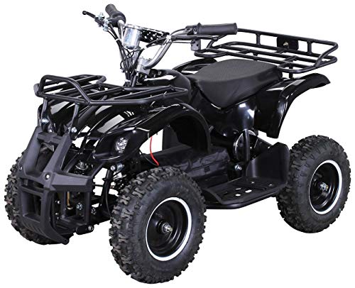 Actionbikes Motors Kinder Elektro Miniquad ATV Torino 𝟭𝟬𝟬𝟬 Watt 36 Volt - Scheibenbremsen - Umweltfreundlicher Elektromotor (1000 Watt Schwarz)