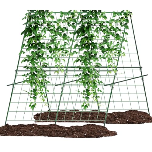 Rankgitter für Tomaten Gurken,120CM * 120CM Gurke Rankhilfe Set, Garten Rankgitter, Pflanzkäfige und Stützen für Ranken,Pflanzenständer für Kletterpflanzen, Rankhilfe Garten Gurke Tomaten