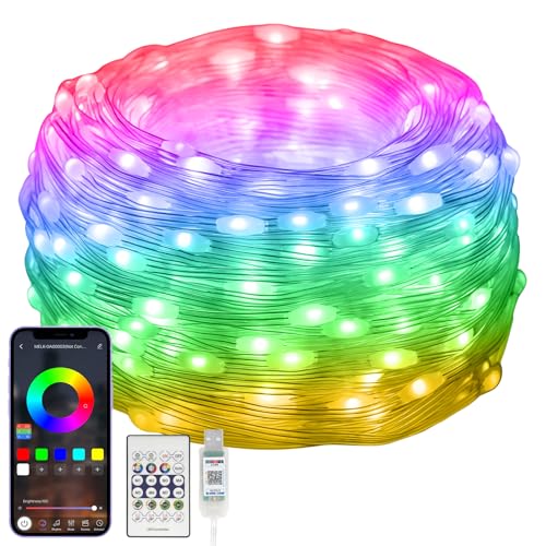10M RGBIC Lichterkette mit Farbwechsel,[99+ Modi] 100LEDs Wasserdicht Lichtschlauch USB Plug in, mit Timer, Sync Musik, Fernbedienung & App Steuerung, für Weihnachten, Hochzeit, Haus, Party Dekoration