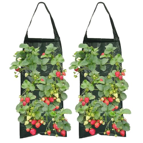 Feliciay 2er Pack Pflanzsack,Erdbeere Pflanzsack mit 8 Löchern,Dauerhaft Atmungsaktiv Beutel, Hängend Erdbeeren Pflanztaschen,Pflanzbeutel Mit Griffe Für Pflanzen/Kräuter/Blumen