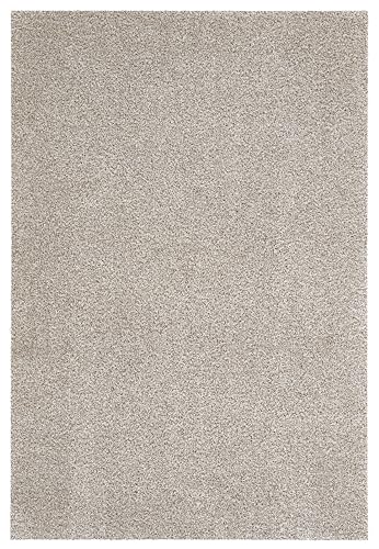 andiamo Fußmatte Samson - Schmutzfangmatte aus Baumwolle für den Hauseingang - einsetzbar als Fußmatte innen, Fußabtreter im überdachten Außenbereich oder als Haustiermatte 100 x 150 cm Hellbeige