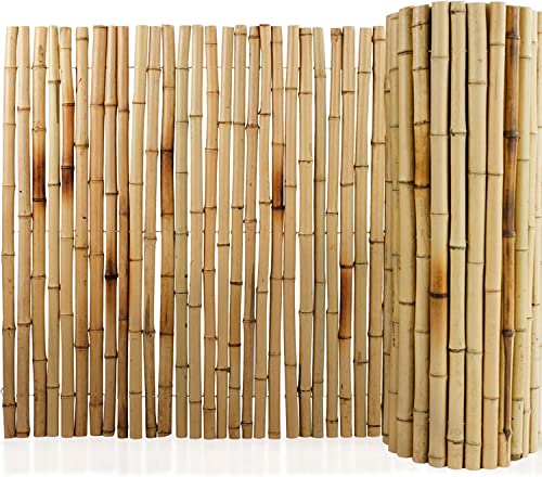 Floordirekt Bambus-Sichtschutzzaun 180 cm hoch x 200cm Naturmaterial Vollrohr Schilfrohrmatte | Schilfmatten Sichtschutz für Balkon, Terrasse oder Garten | Robust und witterungsbeständig