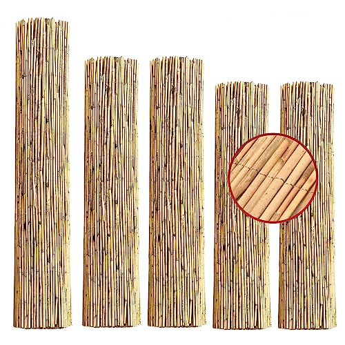 Schilfrohrmatte Sichtschutz 90x300cm für Balkon Terrasse Garten Zaun, Sichtschutzmatte Blickschutz Windschutz, Schilfrohr Schilfrohrmatte Schilfmatte Sonnenschutz, wetterfest, langlebig Natur