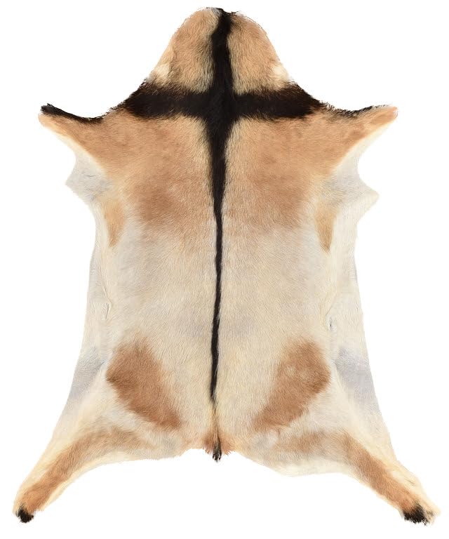 generisch ZIEGENFELL Hellbraun BEIGE CA. 85 x 55 cm ECHTES ZIEGENFELL DEKO Fell VON KUHFELLE ONLINE
