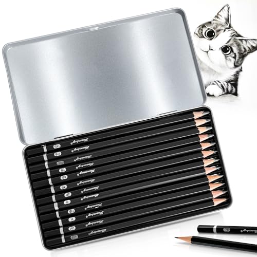 Bleistift Set, 12-Teiliges Zeichenstifte Set, Bleistift Zeichnen von 4H bis 14B Sketch Bleistiftset mit Graphitstifte für Künstler, Kinder, Erwachsene, Zeichnungen, Skizzieren Liebhaberin (Typ 1)