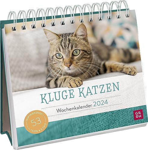 Wochenkalender 2024: Kluge Katzen: Katzenkalender zum Aufstellen mit Wochenkalendarium, Tischkalender für Katzenfreunde