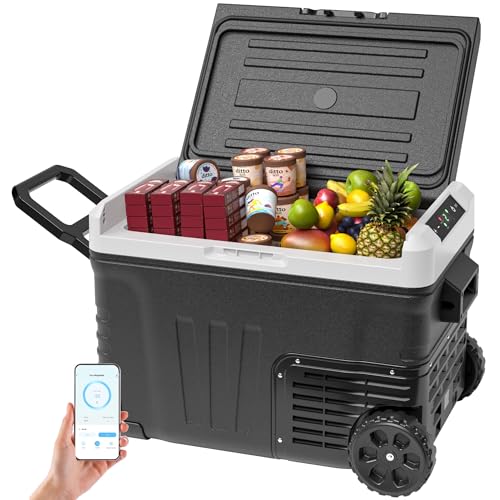 EUHOMY 35L Kompressor Kühlbox, 12V Auto-Kühlschrank, Tragbarer Gefrierschrank 12V/24V DC 220-240V AC, 12V Kühlschrank -20℃~20℃ mit APP-Steuerung, Kühlbox mit Rollen & 2 Körben für Reisen, Camping