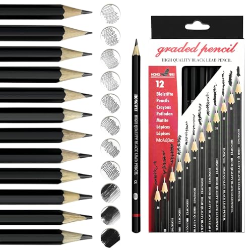 auriikoop Bleistift Set, 12 Stück Zeichenstifte, 2H H F HB B 2B 3B 4B 5B 6B 7B 8B, Professionell Bleistift Set zum Zeichnen, für Künstler, Kinder, Erwachsene, Zeichnungen, Skizzieren Liebhaberin