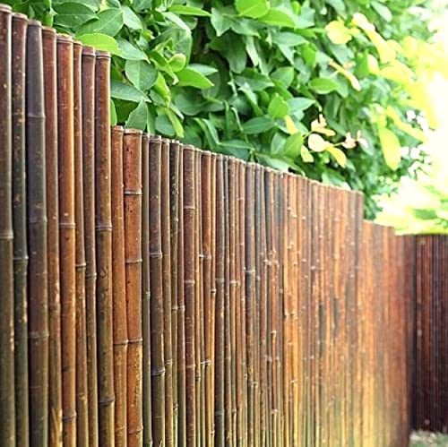 DE-COmmerce® Hochwertiger Bambus Zaun Sichtschutz ATY Nigra, oben geschlossen, Rollzaun, Gartenzaun, Sichtschutzzaun für Garten, Terrasse, Balkon (HxB) 200 cm x 180 cm