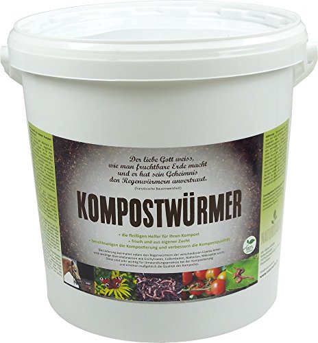 KOMPOSTWÜRMER - 1000 Stück/Eimer - Kompost-Starter Regenwürmer - Eisenia Kompostwurm lebend aktiv - Würmer für Garten & Kompostierung Kompost Komposter Wurmkomposter Wurmkiste Wurmfarm Komposttoilette