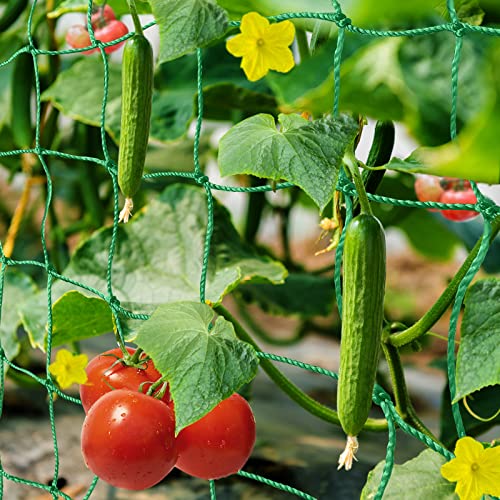 HUTHIM Ranknetz Rankhilfe Garten Tomaten Gurken 2x5m, Großer Rastergröße Sehr Passend Netz für Kletterpflanzen Gewächshaus Zubehör, mit 18Pflanzenclips 12Pflanzenbindern 20m Linie