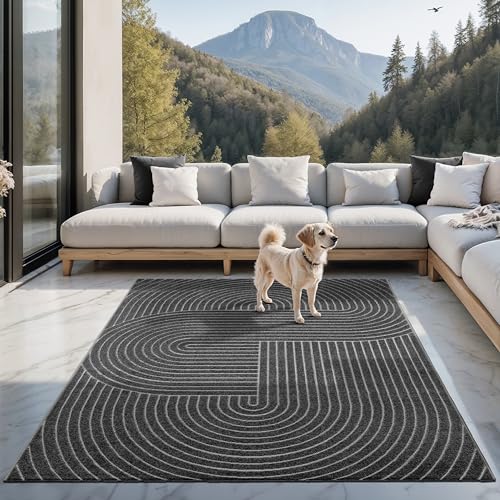 the carpet Santo Plus - Hochwertiger Outdoor Teppich, Passend für Wohnzimmer, Schlafzimmer und Terrasse, Wetterfest, langlebig und pflegeleicht, Anthrazit, 200 x 280 cm