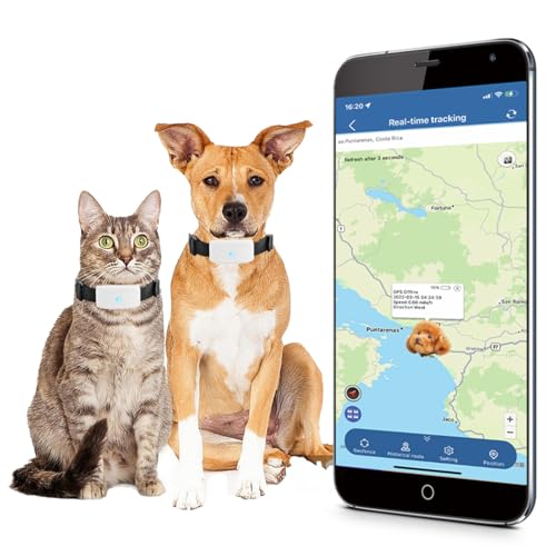 TKMARS Hunde Tracker Katzen GPS-Finder, Echtzeit-Tracking, 4G, GPS-Tracker für Hunde, mit Sicherheitszaun, Alarm mit Ton und Licht, um Tiere zu Finden, wasserdicht, TK911Pro ohne ABO