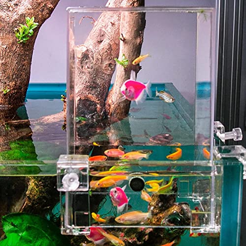 BaoT8YLu Fischturm, transparenter, sichtbarer, verschleißfester Aquarium-Vakuum-Fischturm über dem Wasser mit Druckknöpfen, Aquarium-Dekoration Transparent