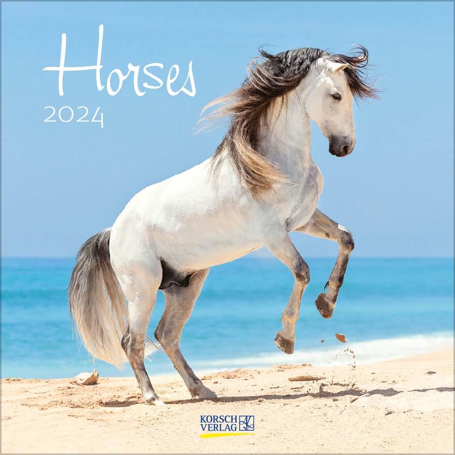 Horses 2024: Broschürenkalender mit Ferienterminen. Pferde und Ponys. 30 x 30 cm