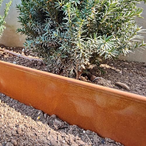 Rori Cortenstahl Rasenkante 10 m - abgerundete Oberseite - 10 x 1m Rasenkanten biegen - DIY Lawn Edging - Umzäunung für Obstgärten - Beeteinfassung - 10 cm Höhe
