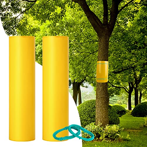 Leimring 2 Stück Leimfalle Baumleimring Klebeband für Bäume 3mX15cm Gelbsticker Verhindern Sie dass Raupen Ameisen und andere schädliche Insekten auf Bäume klettern, Inklusive 2 Bindedraht MEHRWEG