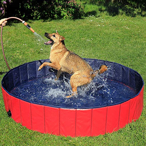 lionto Faltbarer Hundepool Schwimmbecken für Hunde Hundebad Kinderpool, (L) 160 cm Ø Höhe 30 cm blau/rot